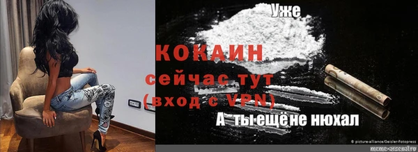 сатива Козельск