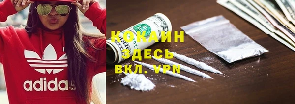 сатива Козельск