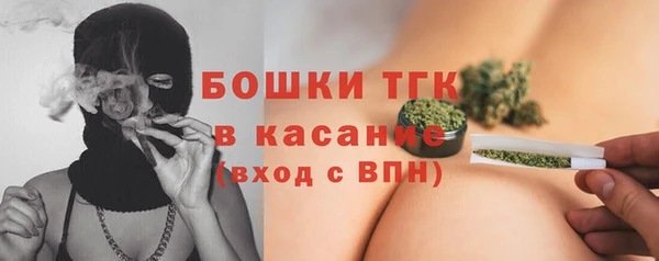 сатива Козельск
