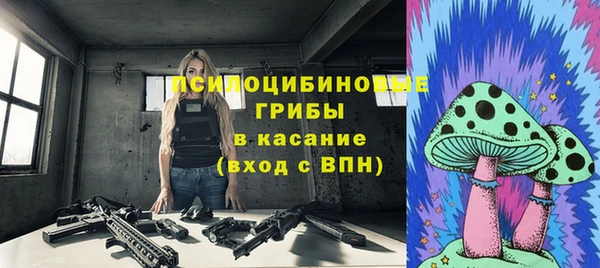 прущие крисы Киренск